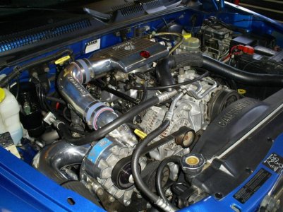 S5030669.jpg