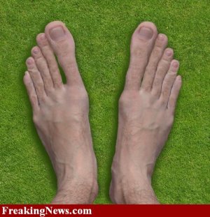 big toes.jpg