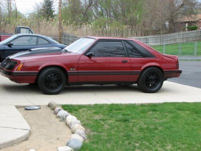 Tinted windows 006.jpg