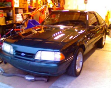 rsz_mustang.jpg