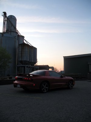 IMG_2336sm.jpg