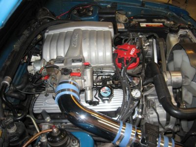 cobra 008.jpg