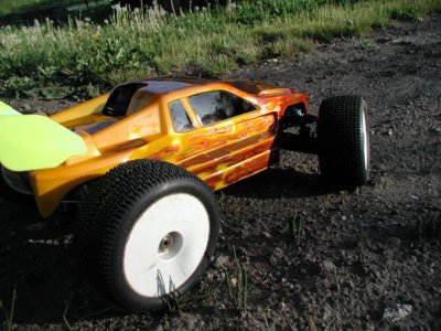 Acid Rain 08.jpg