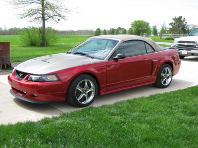 Jim'sStang6.jpg