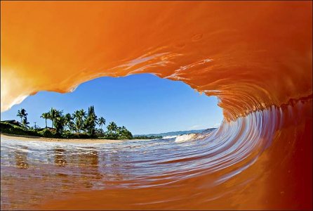 orange wave.jpg