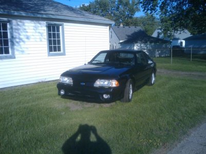 mikes cell pics 209.jpg