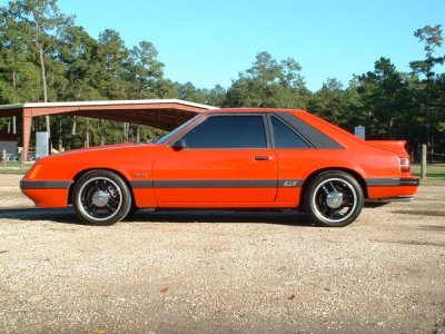 3262386Stang-med.jpg