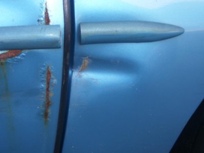 firebird 005.jpg