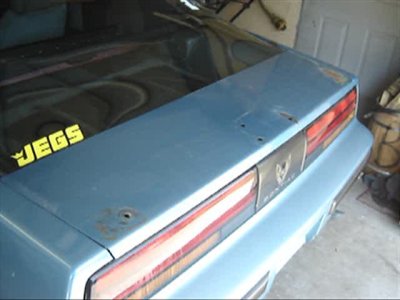 Firebird 008_00012.jpg