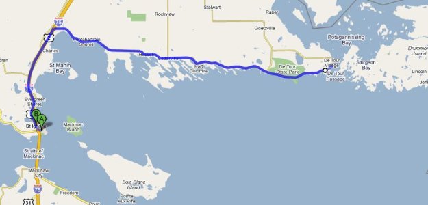 iggy_cruise_110.jpg