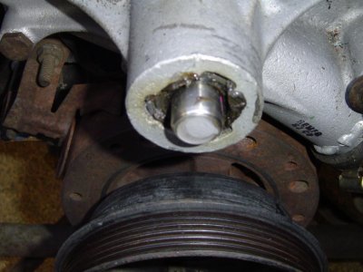 1nine84GT_007.jpg