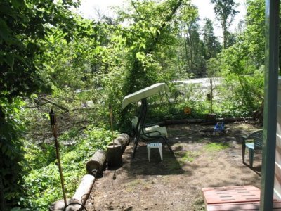 BackYard.jpg