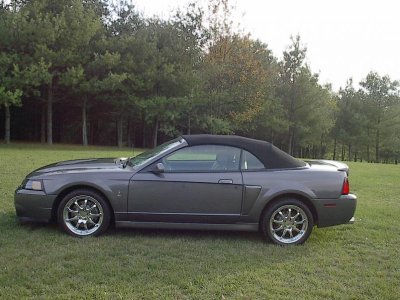 full side - top up.jpg