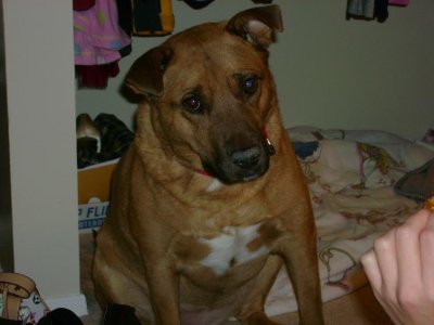 peaches03.JPG
