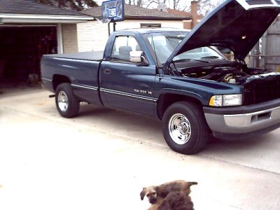 img42.JPG