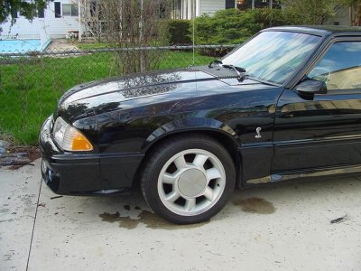93cobra3.jpg