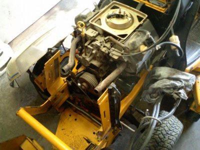 IMGA2325.jpg