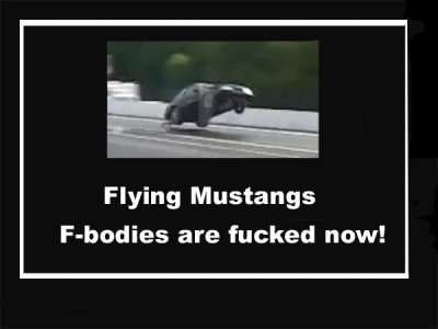flying mustangs 2.jpg