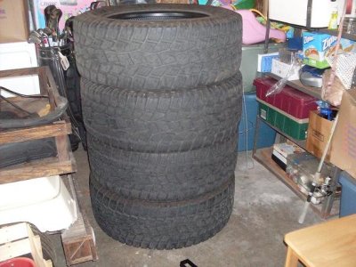 SDC11259.JPG