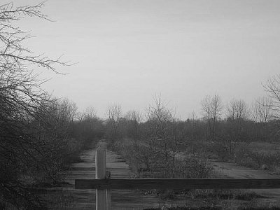 388678134_d0d95e2c0f.jpg