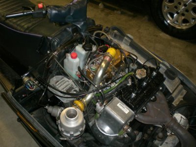 CIMG1434.jpg