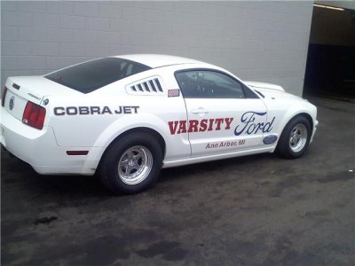 New Varsity.jpg