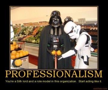 professionalism-demotivational-poster-1221161783.jpg