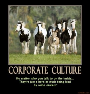 corporate-culture-just-ask-anyone-and-you-will-get-this-litt-demotivational-poster-1253323268.jpg