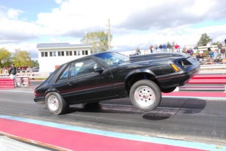 ublylid6.jpg