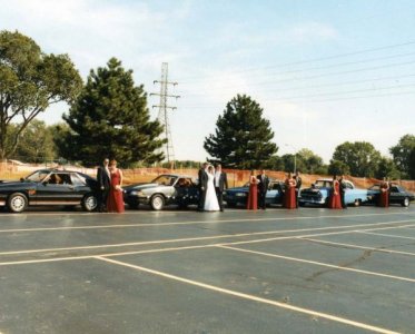 img003.jpg