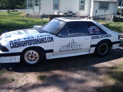 mikescellpics 015.jpg