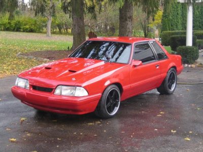 Mustang 2.jpg