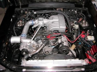 DSCN4861v.JPG