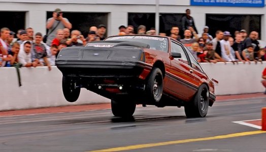 5208_1099201724605_1363524361_229252_4639394_n.jpg