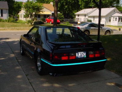 PICTURE_107.jpg