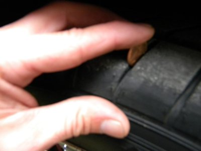 pic5.jpg