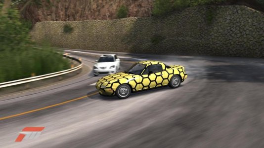Forza11.jpg
