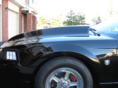 03 GT..11-12 014.jpg