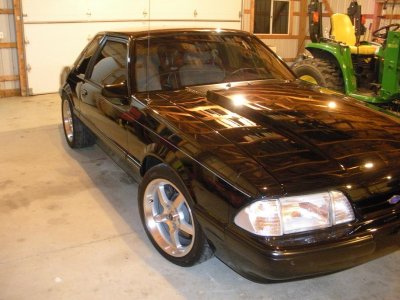 Mustang pictures 001.jpg