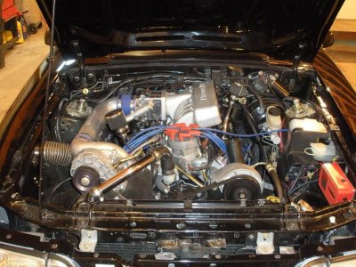 Mustang pictures 010.jpg