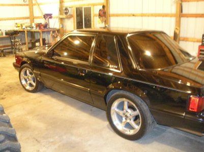 Mustang pictures 004.jpg