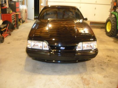 Mustang pictures 002.jpg