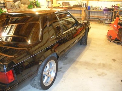 Mustang pictures 005.jpg