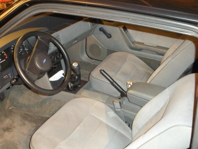 Mustang pictures 007.jpg
