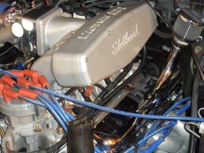 Mustang pictures 008.jpg