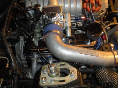Mustang pictures 012.jpg