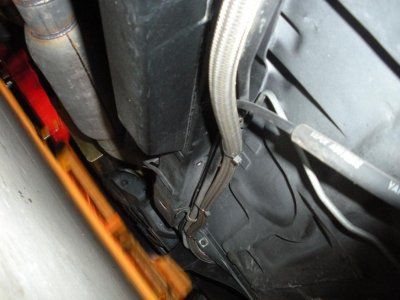 Mustang pictures 013.jpg