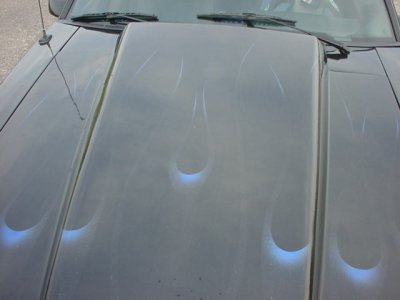 Picture 200.jpg