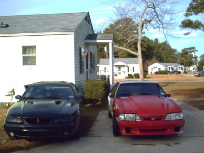 front of cobra and rusty.JPG