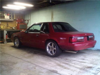 rear shot.jpg